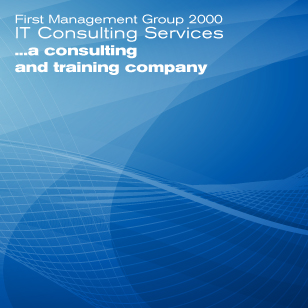 First Management Group 2000: IT Consulting Services in Chicago, Illinois, US.